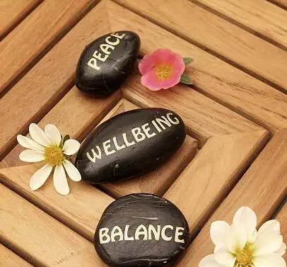 well being rocks